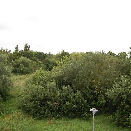 Apartment Am Steinweg Έμντεν Εξωτερικό φωτογραφία