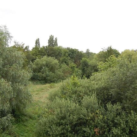 Apartment Am Steinweg Έμντεν Εξωτερικό φωτογραφία